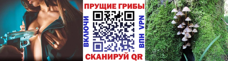 Галлюциногенные грибы мицелий  где купить наркоту  Гремячинск 